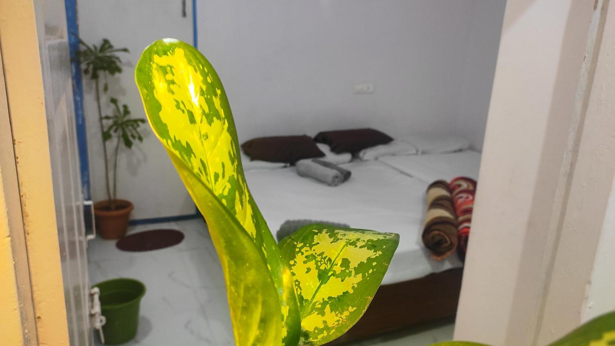 Hotel Adh Amilia Gardens Narasimharaja Puram Exteriér fotografie
